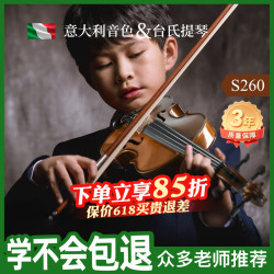 台氏 小提琴儿童初学者实木手工成人考级高品质S260小提琴西洋乐器1/4