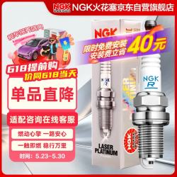 NGK PZFR6R 5758 火花塞 四支装