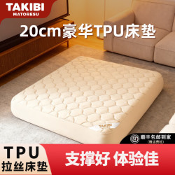 塔吉比 自动充气床垫拉丝气垫床打地铺户外露营深睡弹丝云床TPU20 三人+无刷泵