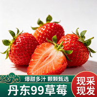 /爆料鲜丰 高山种植 草莓 10斤带箱单果(15-25g)