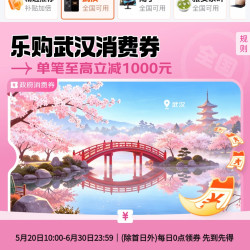 京东政府消费券 云南彩云300-50/200-30等 武汉/南宁满1打8.5/9/9.5折券