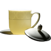 硅元 釉中彩 盖杯 碟 礼盒 盖杯带碟-礼盒