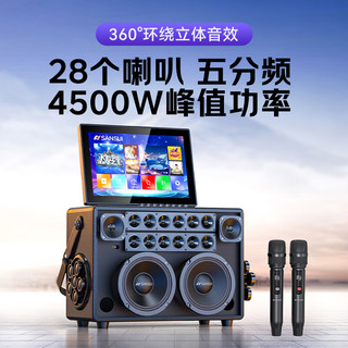 山水 Q60pro 便携K歌蓝牙音响 家用户外卡拉OK音箱