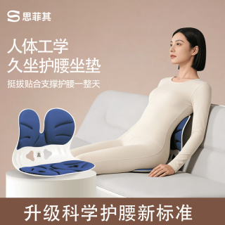 思菲其 久坐不累人体工学太空记忆棉腰靠垫 双翼款-运动蓝