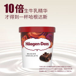 哈根达斯 经典比利时巧克力口味冰淇淋 473ml