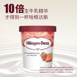哈根达斯 经典草莓味冰淇淋 473ml
