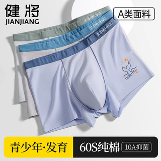 健将 10A抗菌纯棉男士四角内裤 小海豚款 3条装 2XL