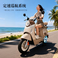  LUYUAN/绿源 长续航 电动摩托车