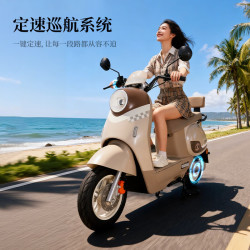 绿源 长续航 电动摩托车 奶油绿 60V21Ah全新超威电池-