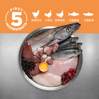 Orijen 渴望 鸡肉六种鱼配方 无谷全阶段猫粮 5.4kg