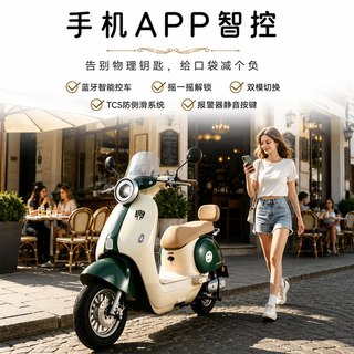 五星钻豹 G12 72V22AH石墨烯电池 电动摩托车