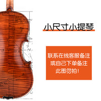 Christina 克莉丝蒂娜（Christina）原装进口手工实木小提琴
