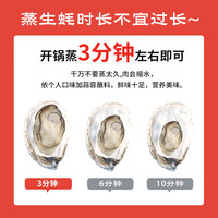 鲜京采 鲜活生蚝 3XL 13-18只 5斤装