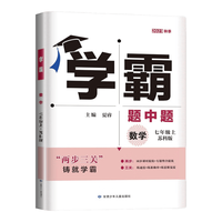  ECNUP/华东师范大学出版社 同步提优 数学教辅书