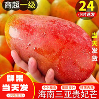 鲸咚亿农 海南三亚贵妃芒 9.5-10斤带箱特选大果