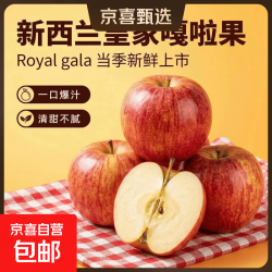 DAZZLE 新西兰加力果GALA皇家嘎啦苹果进口新鲜脆甜当季水果大果整箱 1斤【小果 约4颗