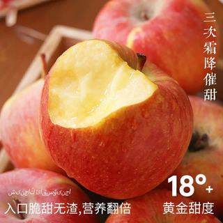 京地达 冰糖心 苹果