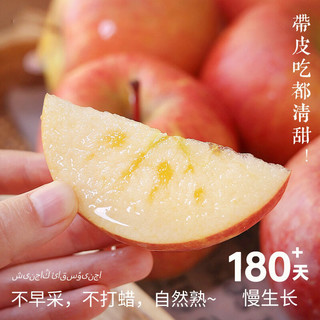  京地达 冰糖心 苹果