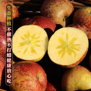骄瑰 云南昭通丑苹果 红富士 果径65-70mm 5斤