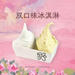 野人先生 双拼口味冰淇淋