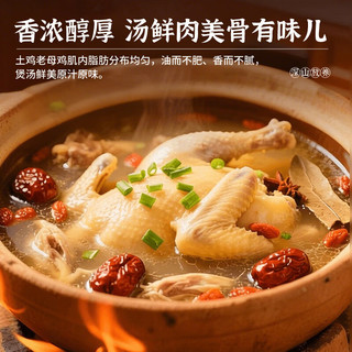 密之清田 北京特产油鸡老母鸡