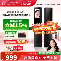 德施曼 智能门锁V20F
