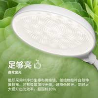 PHILIPS/飞利浦 充电台灯 可夹式便携床头阅读灯