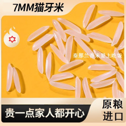 泰那兰 原粮进口猫牙米长粒香米 10斤/5斤装