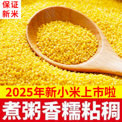 山西油糯黄小米 2026年现磨新小米 优质杂粮 500g