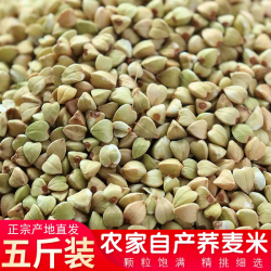 东北荞麦米 5斤 农家自产 杂粮荞麦 煮粥
