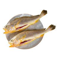 黄小渔 宁德三去黄花鱼 650g/2条 生鲜海鲜