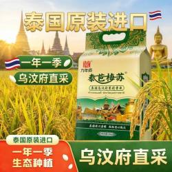 万年贡 泰国进口原粮长粒香米10斤泰芭梅苏乌汶府茉莉香米5KG
