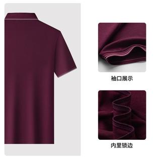 梦特娇 桑蚕丝5A抑菌 男士POLO衫
