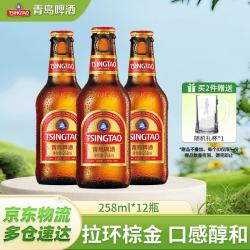 青岛啤酒 易携带  1x12x258ml 包装 258ml