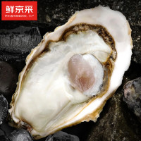 鲜京采 鲜活生蚝5XL 净重5斤 9-12只 鲜活到家