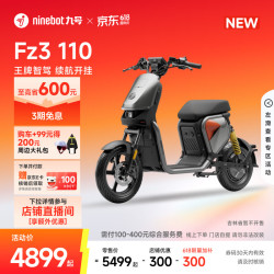九号 FZ3 110 电动自行车 门店自提