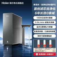 海尔 1400G大通量长效反渗透净水器P5