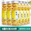 花丘 金丝皇菊 20g*2罐 袋装