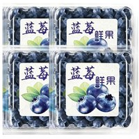 Brangdy 云南花香蓝莓 12-15mm 单粒 100-125g*4盒