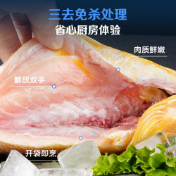 1号会员店 冷冻深海野化三去黄花鱼 800g2条