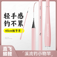 巨鳍王（JUQIWANG）迷你小物钓鱼竿套装鳑鲏马口儿童鱼竿全套短节溪流竿超轻超短手竿