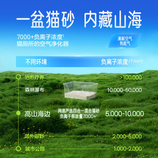网易严选 四合一混合猫砂 原味奶香 2.5kg*6