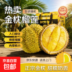 泰国进口金枕巴掌榴莲 8-10斤 箱装