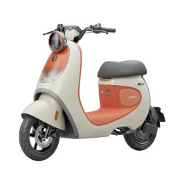 九号 Qz3 30 电动自行车 门店自提