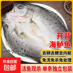 深海白蕉七星三去开背海鲈鱼鲜活生鲜速冻清蒸高营养净重整条