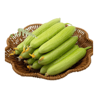 京鲜生 山东奶油黄瓜 50g×1.8斤 茄果瓜类