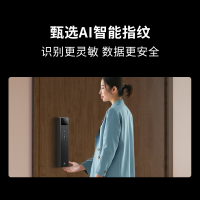 国家补贴、移动端、京东百亿补贴：龙霆 智能门锁密码锁入户门指纹锁防盗门锁电子锁A3FD