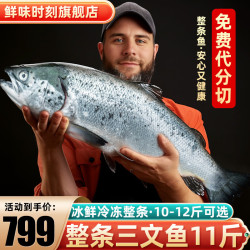 鲜味时刻 智利进口三文鱼排新鲜冷冻鱼中段扒切片10斤11斤12斤整条 三文鱼原装整条11斤 5.5kg