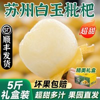 储褚 东山白枇杷 5斤 35-50g 特大果