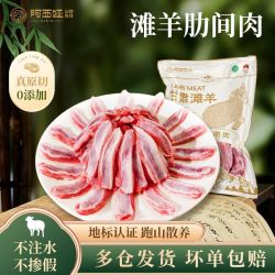 阿西娅 AXIYA 阿西娅 靖远滩羊肋间肉 2斤